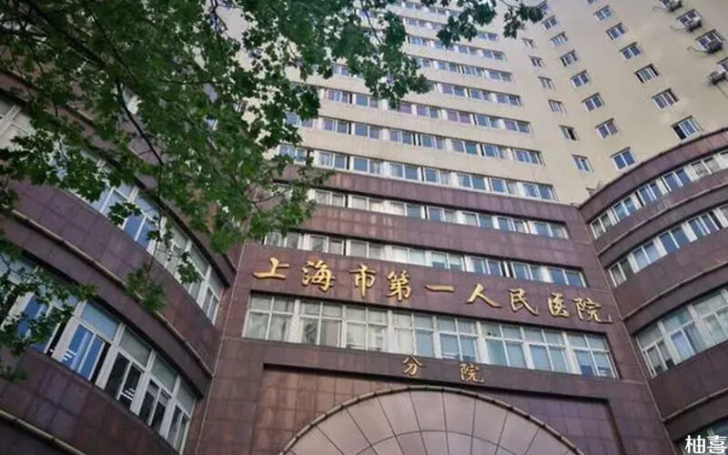 胚胎移植