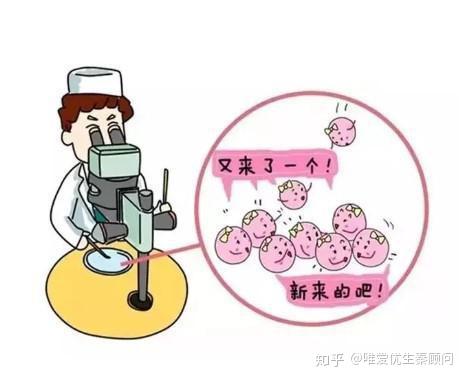 试管婴儿