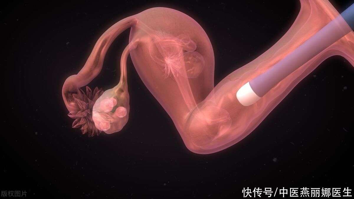 西宁助孕
