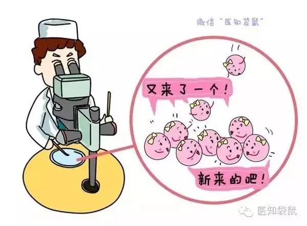 试管婴儿