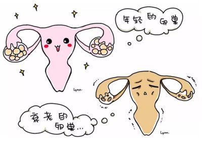 苏州不孕检查