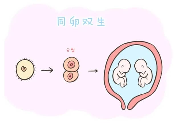 三代试管婴儿